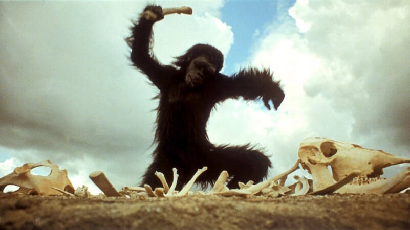 2001: A Space Odyssey - Image - Image 5