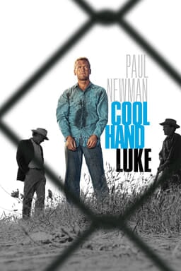 Cool Hand Luke - Key Art