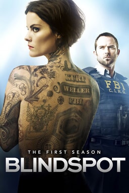 Blindspot: Season 1 - Illustration